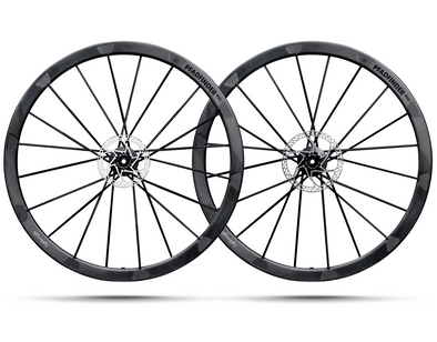 Lightweight Pfadfinder EVO - Disc - Tubeless - 36mm - Wheelset