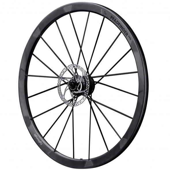 Lightweight Pfadfinder EVO - Disc - Tubeless - 36mm - Front Wheel