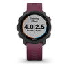 Garmin Forerunner 245 - Cigala Cycling Retail