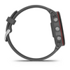 Garmin Forerunner 255 - Cigala Cycling Retail